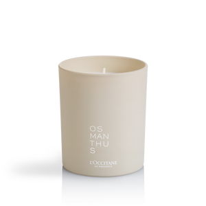 Osmanthus Kerti