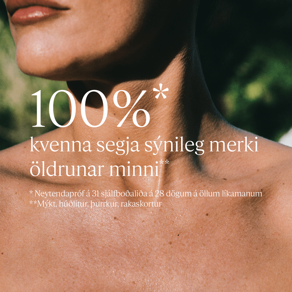 Immortelle Shea Pro-Youth Body Balm