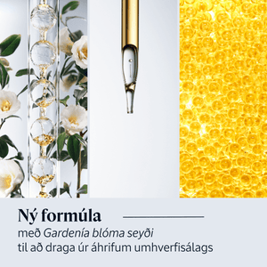Immortelle Overnight Reset Oil-in-Serum (Stórt)