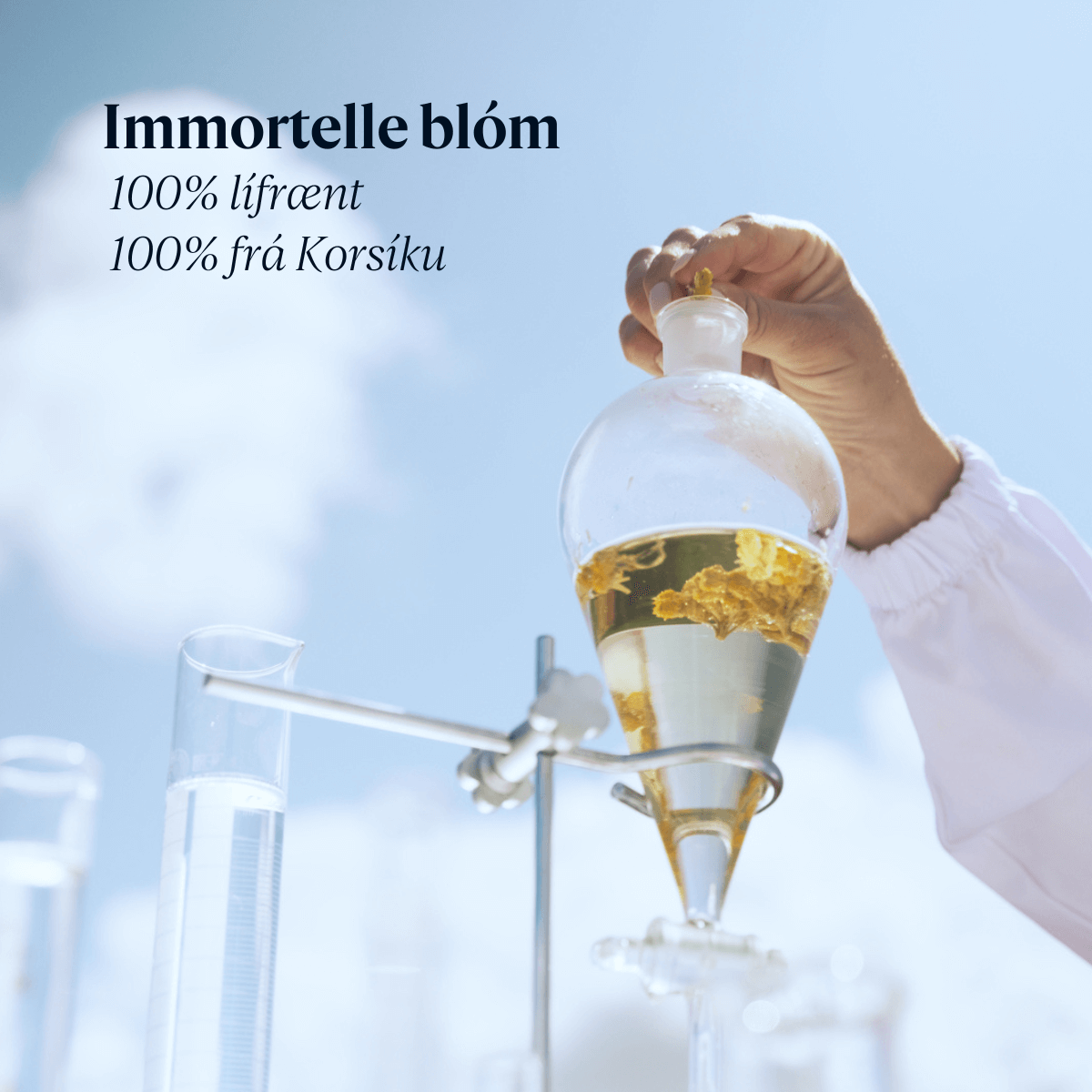 Immortelle Overnight Reset Oil-in-Serum (Stórt)