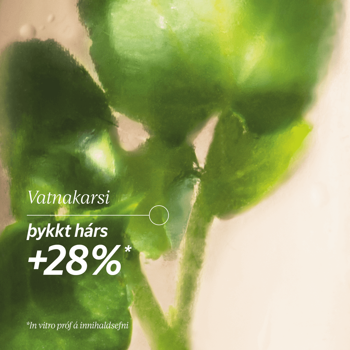 Anti-Hair Loss Serum