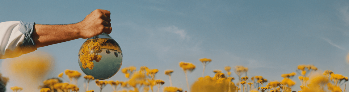 Immortelle