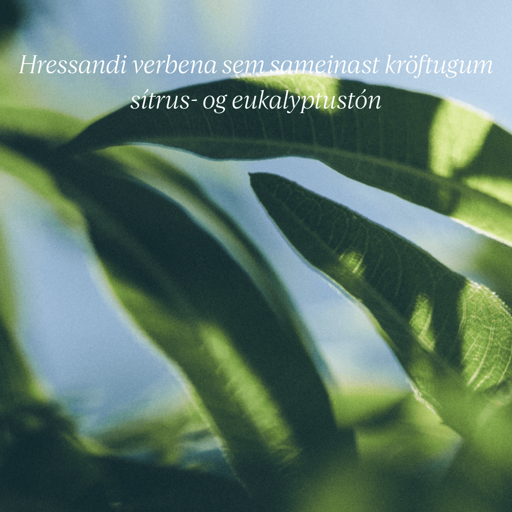 Verbena Solid Soap