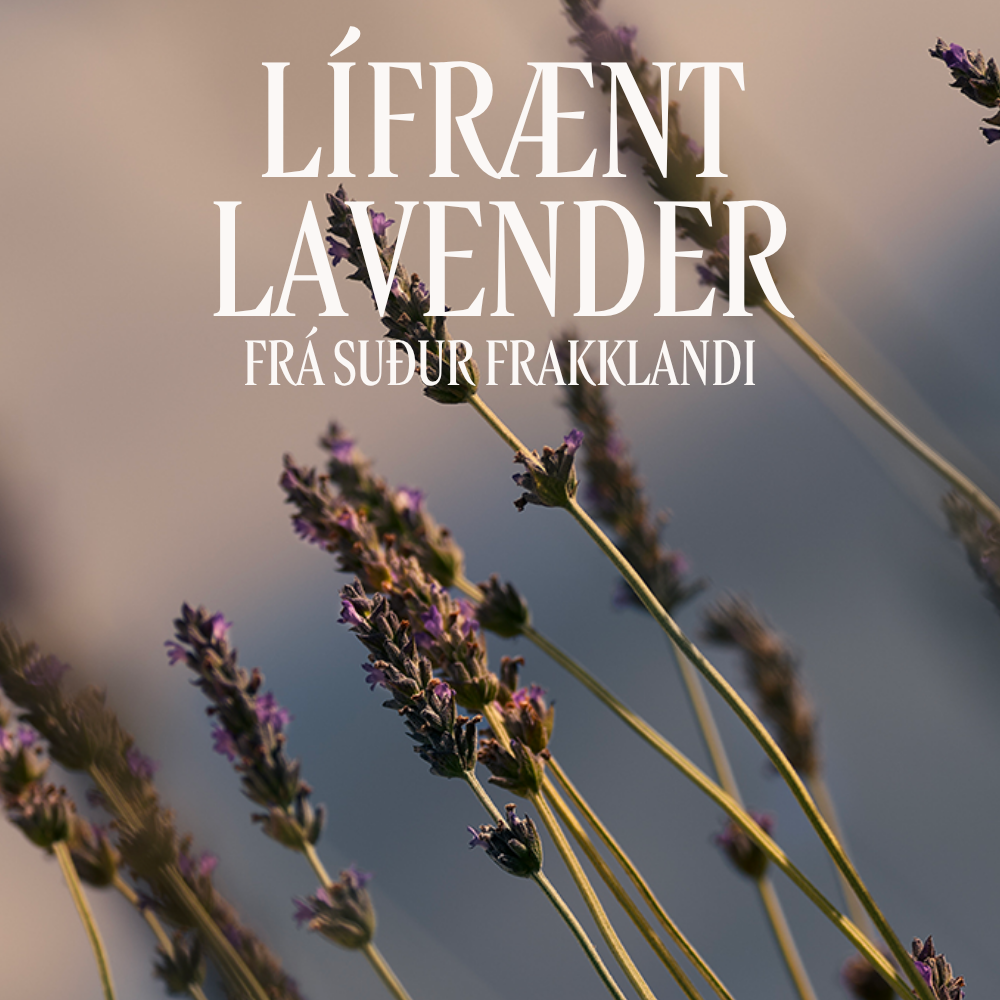 Lavande Perfumed Hand Cream