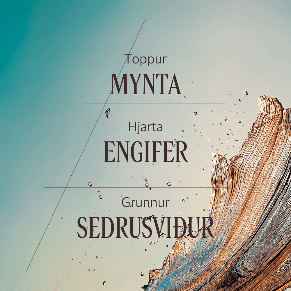 Cèdre Gingembre Eau De Toilette