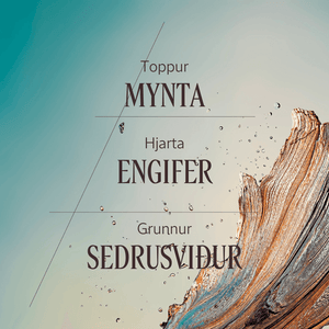 Cèdre Gingembre Eau De Toilette