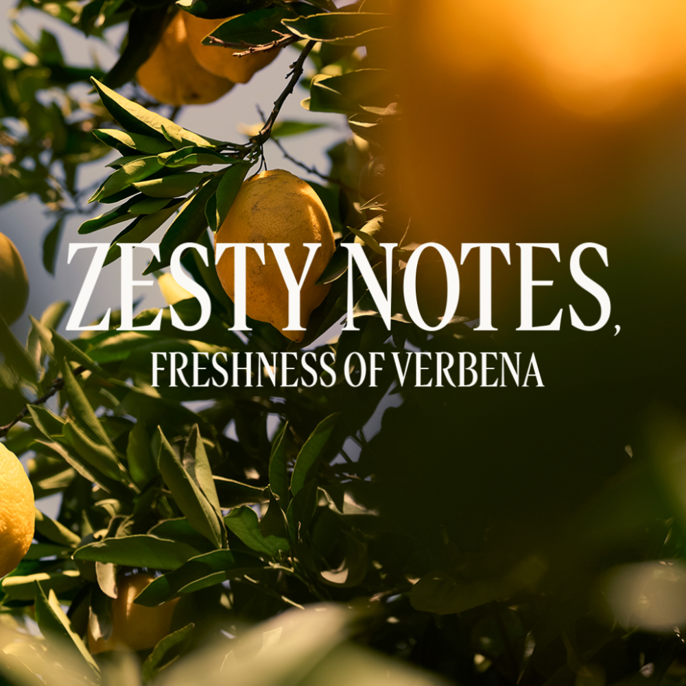 Verveine Agrumes Stick Deodorant