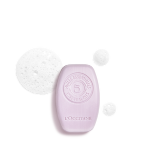 Gentle & Balance Solid Shampoo