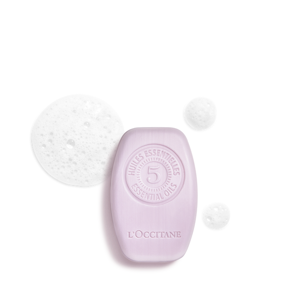 Gentle & Balance Solid Shampoo