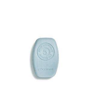 Purifying Freshness Solid Shampoo