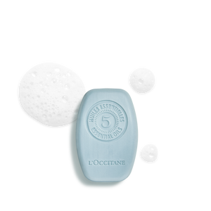 Purifying Freshness Solid Shampoo