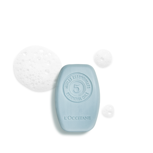 Purifying Freshness Solid Shampoo
